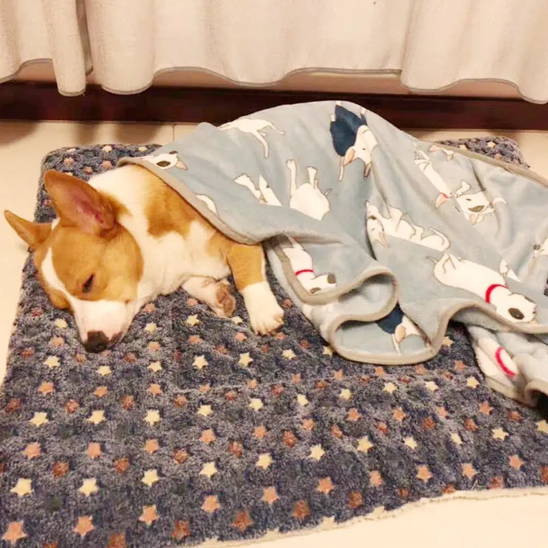 Cama Acolchoada Para Cães e Gatos Dormir de Flanela Espessada