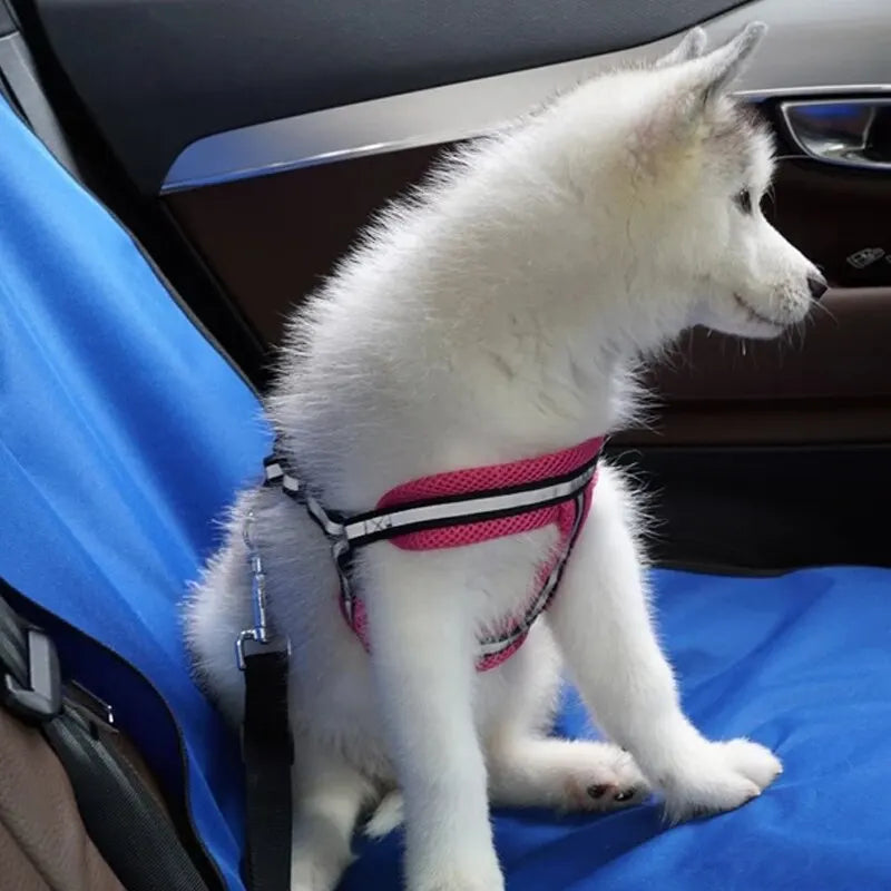 Capa Protetora de Assento de Carro Para Animais de Estimação, Á prova D'água, Anti-Sujeira, Protetor Contra Arranhões